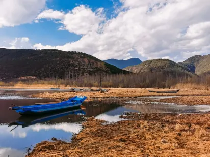 Casilando Casino Mobilapp